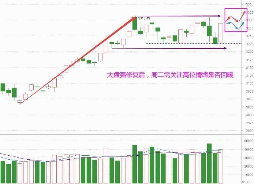 二八分化强修复 干活重心在哪？