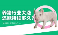 正中优配：养猪行业大涨 猪肉股能参与吗？