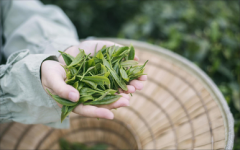  互联网配资：投资者的新选择